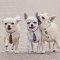 30 PCS/LTO Pet gift/Pet Bow/Pet Tie/Medium Dog Bow Ties Collar/Pet Supplies/Gadget for small dogs/cats/baby girls or boys etc