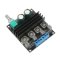 TPA3116D2 2.0 Audio Amplifier TPA3116 Dual Channel Amplifier Board DC 12V 24V High Power HIFI Stereo Digital Amplifier Module