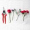 Alloy Tools/Scissors/Hand Tools/Hand Pruner/Gardening Shears for Herb cutting/Flower trimming and Vegetable gardening etc