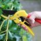 Universal Tools/Scissors/Metal Tools/Hand Pruner/Gardening Shears/Pruning Shears for Orchards/Flowers and Many Plants Cutting